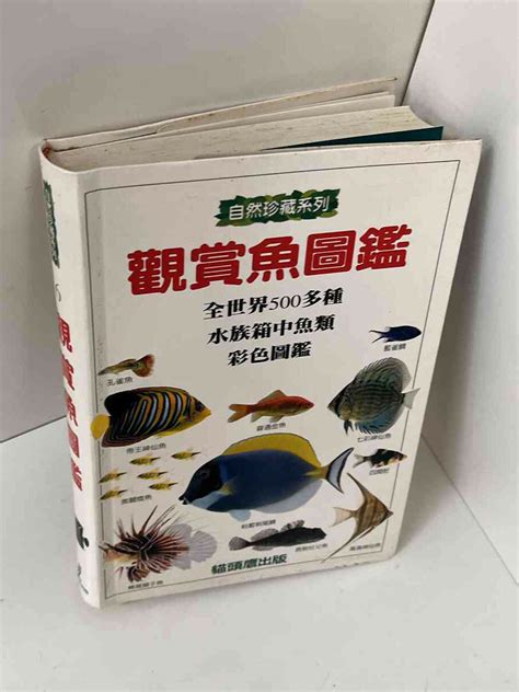 觀賞魚品種|觀賞魚圖鑑(農業E報